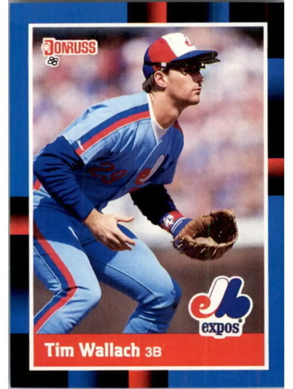 1988 Tim Wallach Donruss Baseball Card #222